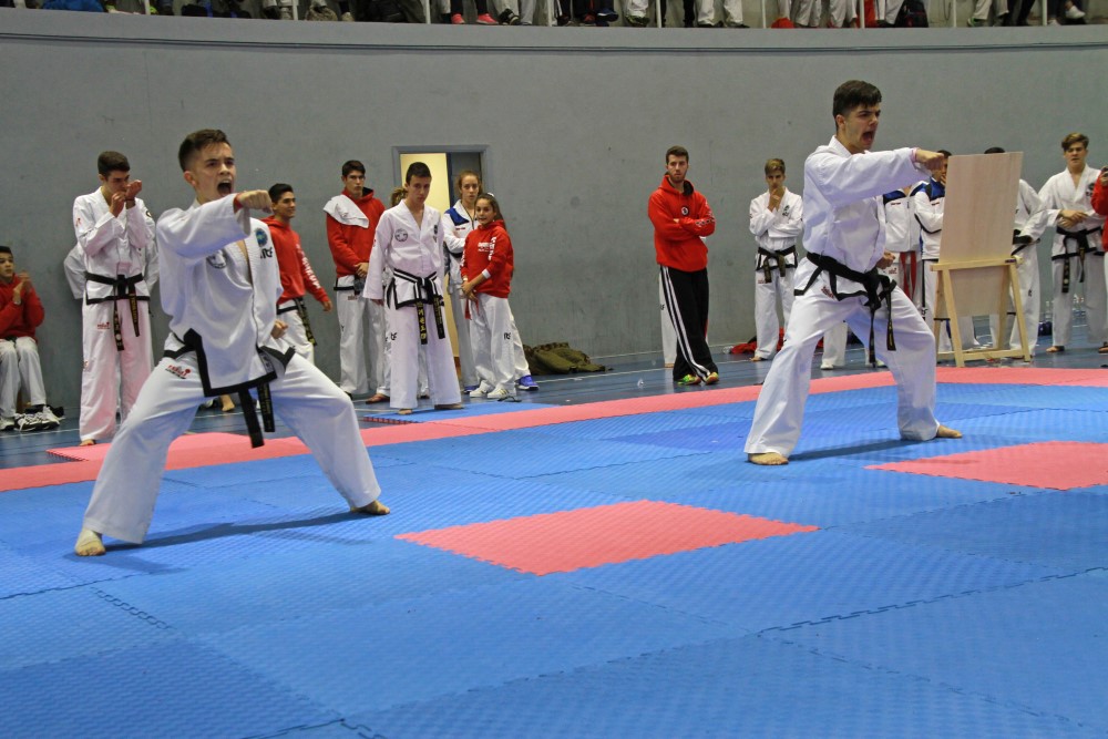 III Copa Seúl (134).jpg